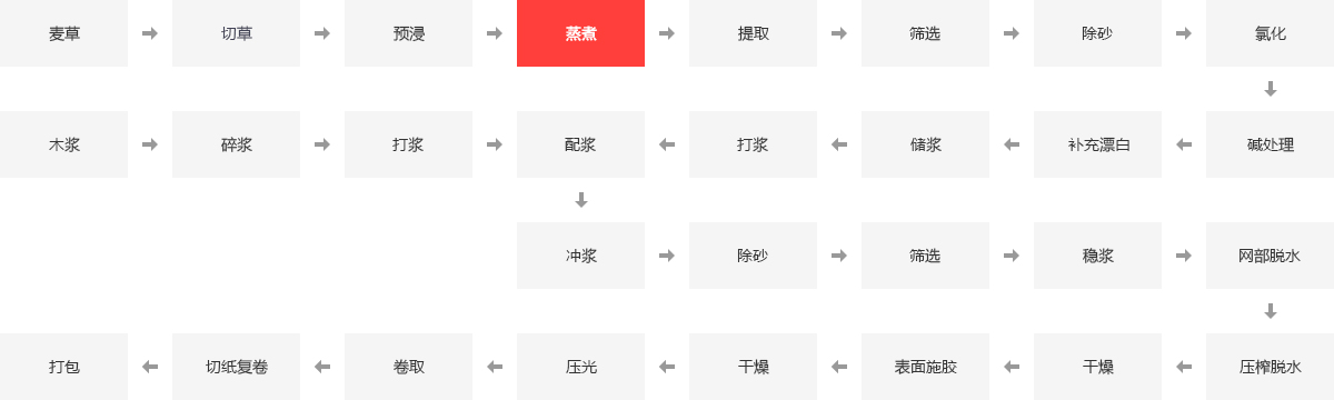 造纸行业锅炉应用领域